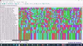 MEGA X: How to construct a phylogenetic tree