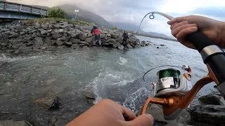 SNAGGING SILVER SALMON IN SEWARD, ALASKA | BEST FISHING HOLE REVEALED