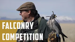 The Ultimate Falconry Competition