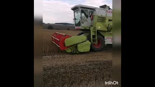 Купили комбайн CLAAS DOMINATOR 76 молотимо сою.