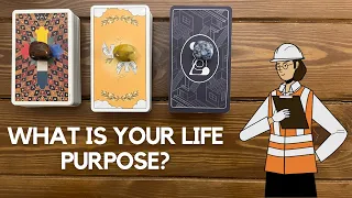 What is Your Life Purpose? ✨👩‍🔬👨‍🎤✨ | Pick a Card