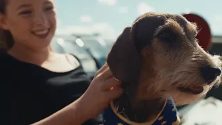 Top Dog Film Festival UK Tour - 2019 Trailer