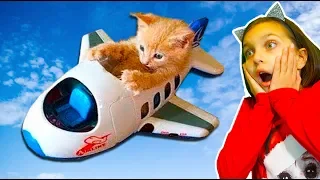 ХРАБРЫЕ vs ПУГЛИВЫЕ КОТЫ! ЛУЧШИЙ НЕ ЗАСМЕЙСЯ ЧЕЛЛЕНДЖ! Funny Cats Попробуй не засмеяться Валеришка