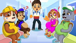 Brewing Baby Cute, But Skye Pregnant? - Paw Patrol The Mighty Movie - Rainbow 3