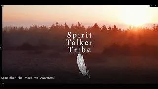 Spirit Talker Tribe - Video Two - Awareness
