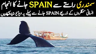 Spain Ka Safar Episode 4 Part 2 | تارکین وطن کی کہانیاں | LalGulab