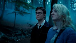 Гарри Поттер и Полумна Лавгуд гуляют вместе | Гарри Поттер и Полумна | Гарри Поттер и Орден Феникса