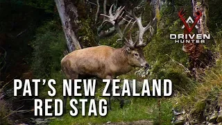 Pat's New Zealand Red Stag