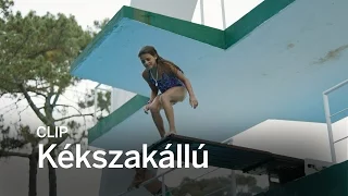 KÉKSZAKÁLLÚ Clip | Festival 2016