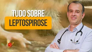 Aula completa sobre Leptospirose | Dr. Giordanne Freitas