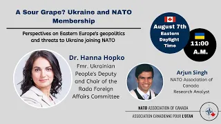 A Sour Grape: Perspectives on Ukraine and NATO membership