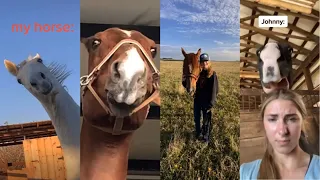 FUNNY AND CUTE HORSE TIKTOKS // compilation that will make your day better