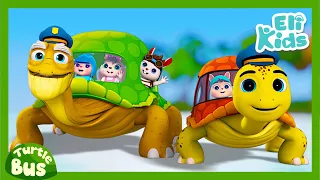 Turtle Bus MEGA Collection | Animal Vehicle Compilations | Eli Kids Nursery Rhymes