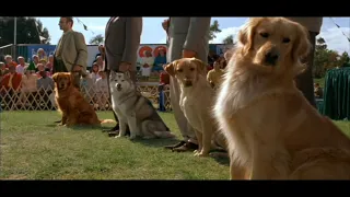 Garfield (2004) - Garfield riles the dogs
