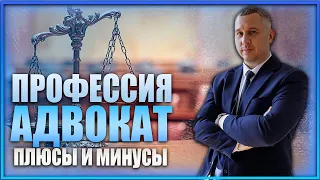 Профессия адвокат | Плюсы и минусы