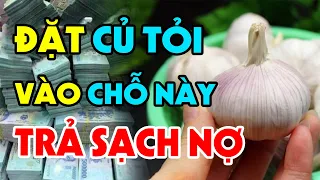 Đặt 1 Củ Tỏi Vào Chỗ Này Sau 1 Đêm Bạn Sẽ GIÀU NHANH CHÓNG MẶT, Tiền Vàng Ùn Ùn Kéo Đến