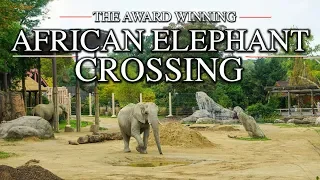 Zoo Tours: The African Elephant Crossing | Cleveland MetroParks Zoo