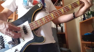 The Witch - the Sonics bass cover