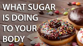 Sugar Yeast Experiment (how sugar affects your gut)