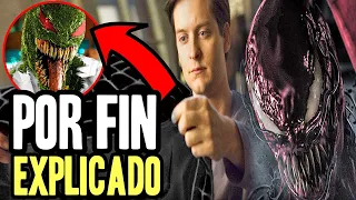 ¡Es HERMOSO! Qué pasó con Spider Man de Tobey Maguire luego de Spider Man 3? Doctor Strange 2 y más