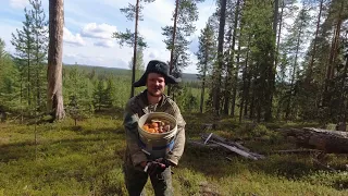 СЧАСТЛИВЫЙ ГРИБНИК СОБИРАЕТ ГРИБЫ НА ЛЕСНОЙ ОПУШКЕ. В ЛЕС ПО ГРИБЫ. СБОР ГРИБОВ. ТИХАЯ ОХОТА