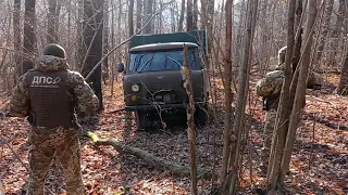 Поблизу кордону з Росією застрягла вантажівка з червоною ікрою