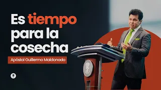 ES TIEMPO PARA LA COSECHA (Sermón) | Guillermo Maldonado