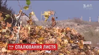 Комунальники Миколаєва закликають містян не палити листя