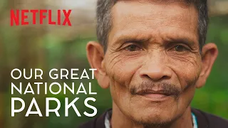 Can the Damage from Palm Oil Trees be Reversed? | Our Great National Parks | Netflix | #Wild For All