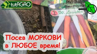 Посейте ТАК МОРКОВЬ и она вырастет ДАЖЕ В ГЛИНЕ! Посев моркови с апреля по июнь с большим урожаем!