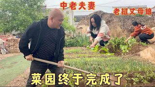 The Lao daughter-in-law has completed the vegetable garden reclaimed in rural China. She need not w