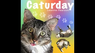 Caturday - Leanne Pearson (cute and funny cat compilation)