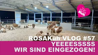 ROSAKuh VLOG#57 unser Kompoststall ist fertig    fast #Rosakuh #Megaregional #Farmvlog #kompoststall