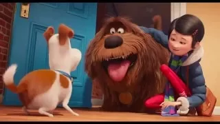 'The Secret Life of Pets' (2016) Official Trailer #3