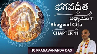 BHAGAVAD GITA - CHAPTER 11 - భగవద్గీత - అధ్యాయం - 11 || HG Pranavananda Prabhu