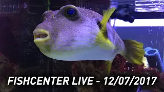 Fishcenter Live - December 07, 2017