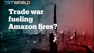 Is the US-China trade war fueling the Amazon fires?