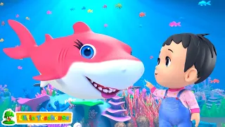 Дитяча акула Дитяча акула Весела пісня про тварин для дітей