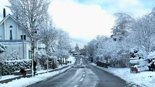 SWITZERLAND Winter Wonderland 🇨🇭 Frozen in Snow ❄️ Snowfall | #swiss #swissview