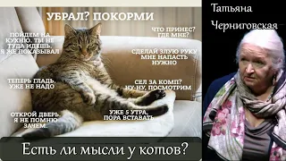 Есть ли мысли у котов? Татьяна Черниговская