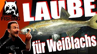 Russian Fishing 4 - Laube - Lauben fangen für Weißlachs, Köderfisch