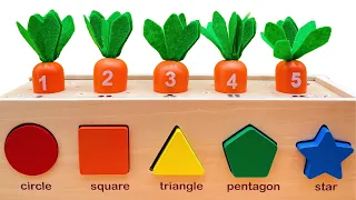 Learning Colors Numbers and Shapes with Best Activity Puzzle for Toddlers | Learn to Count Carrots