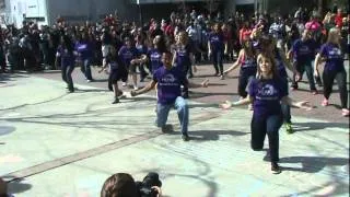 MDF Flash Mob.MPG