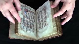 Ms. Codex 738 - Video Facsimile (Catholic Church - [Book of hours])