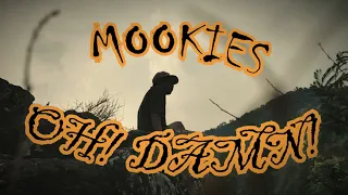 Oh! Damn! (Damo) - Mookies [music video]