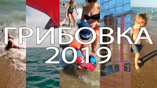 База отдыха "Звездочка" в Грибовке 15.08.2019. Обзор