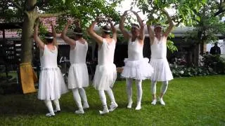 Männerballett Schwanensee