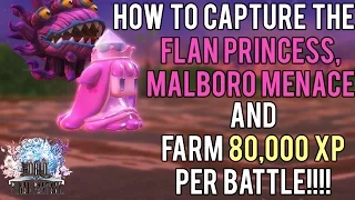 How to Farm 80k XP per battle and Capture the Flan Princess/Malboro Menace | World of Final Fantasy