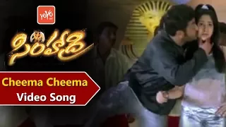 Cheema Cheema Video Song | Simhadri Movie Songs | Jr. NTR | Bhumika | ss rajamouli | YOYO TV Music
