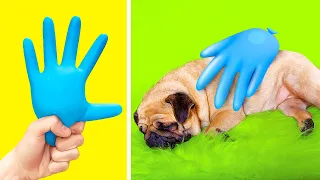 INCREDIBLE HACKS & GADGETS FOR PET OWNERS